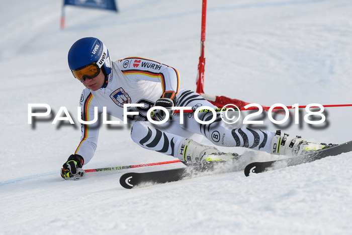 Int. FIS Rennen Herren, RS, Maria Alm 11.01.2018