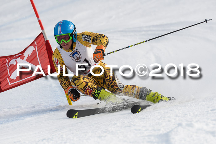 Int. FIS Rennen Herren, RS, Maria Alm 11.01.2018