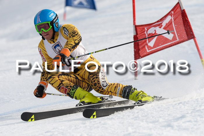 Int. FIS Rennen Herren, RS, Maria Alm 11.01.2018