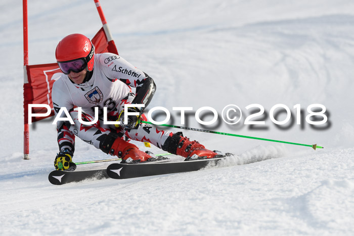 Int. FIS Rennen Herren, RS, Maria Alm 11.01.2018