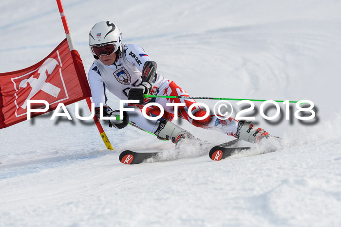 Int. FIS Rennen Herren, RS, Maria Alm 11.01.2018