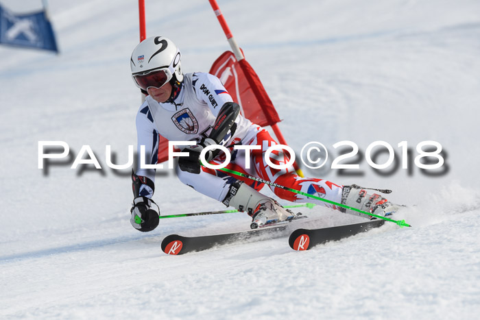 Int. FIS Rennen Herren, RS, Maria Alm 11.01.2018