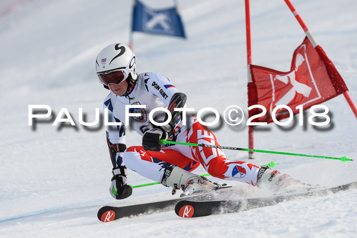 Int. FIS Rennen Herren, RS, Maria Alm 11.01.2018