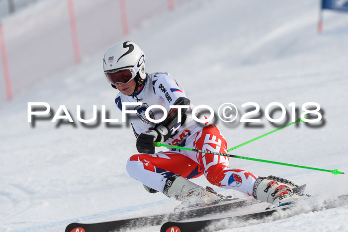 Int. FIS Rennen Herren, RS, Maria Alm 11.01.2018