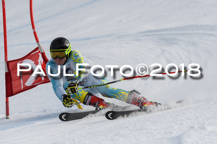 Int. FIS Rennen Herren, RS, Maria Alm 11.01.2018