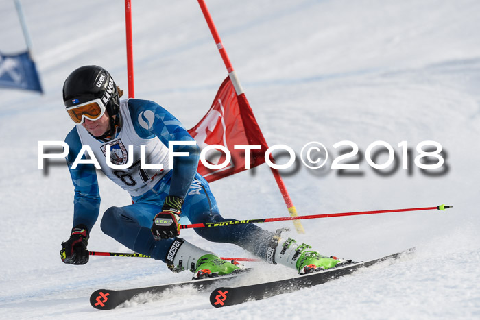 Int. FIS Rennen Herren, RS, Maria Alm 11.01.2018