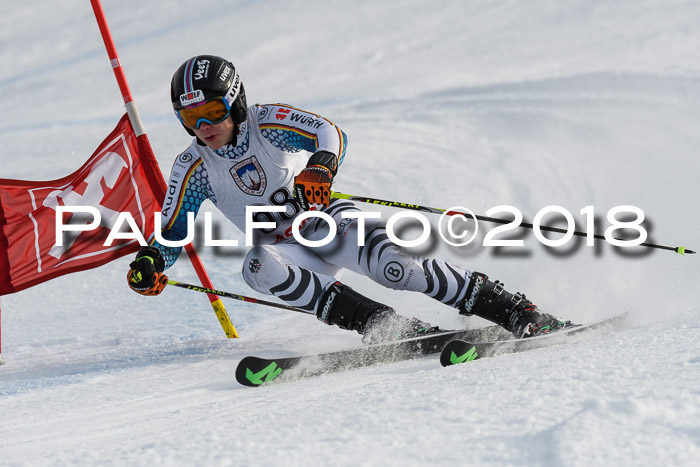 Int. FIS Rennen Herren, RS, Maria Alm 11.01.2018