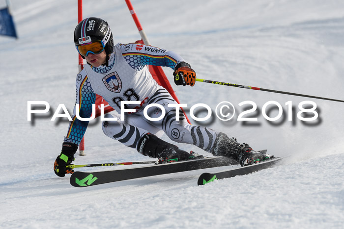 Int. FIS Rennen Herren, RS, Maria Alm 11.01.2018