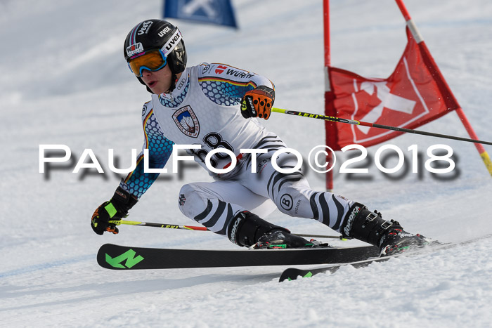 Int. FIS Rennen Herren, RS, Maria Alm 11.01.2018