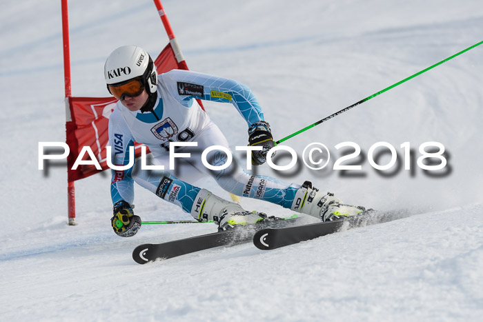 Int. FIS Rennen Herren, RS, Maria Alm 11.01.2018