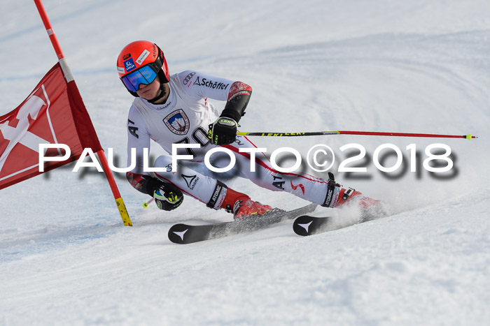 Int. FIS Rennen Herren, RS, Maria Alm 11.01.2018