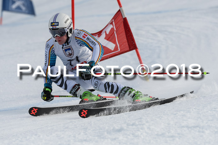 Int. FIS Rennen Herren, RS, Maria Alm 11.01.2018