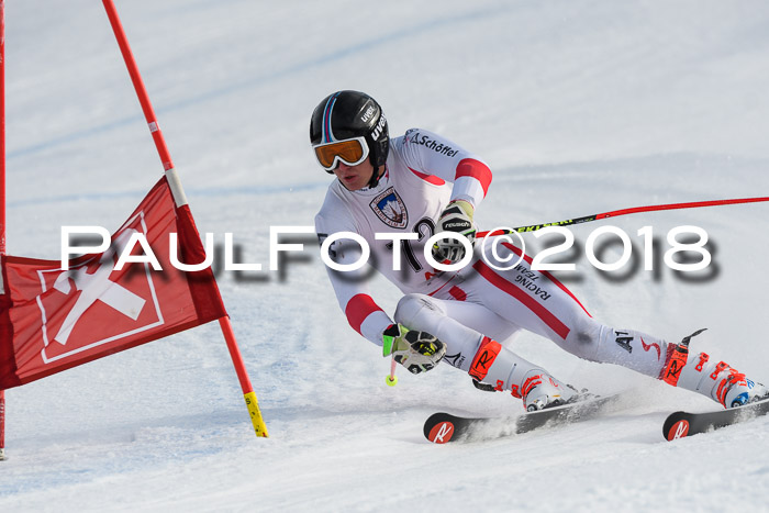 Int. FIS Rennen Herren, RS, Maria Alm 11.01.2018