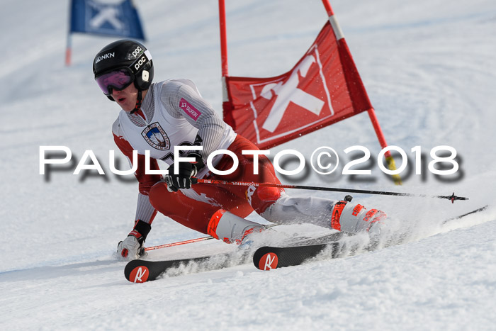 Int. FIS Rennen Herren, RS, Maria Alm 11.01.2018
