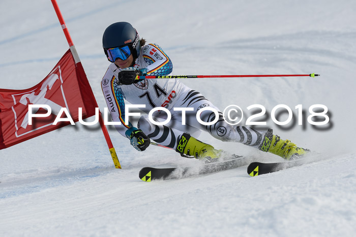 Int. FIS Rennen Herren, RS, Maria Alm 11.01.2018