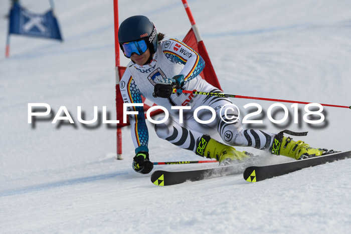 Int. FIS Rennen Herren, RS, Maria Alm 11.01.2018