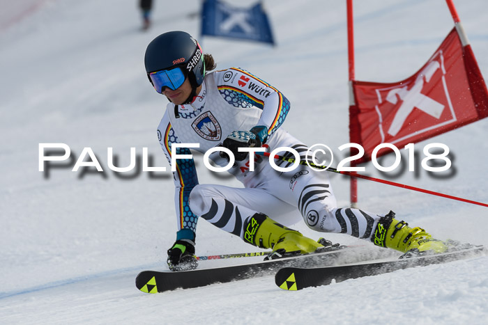 Int. FIS Rennen Herren, RS, Maria Alm 11.01.2018