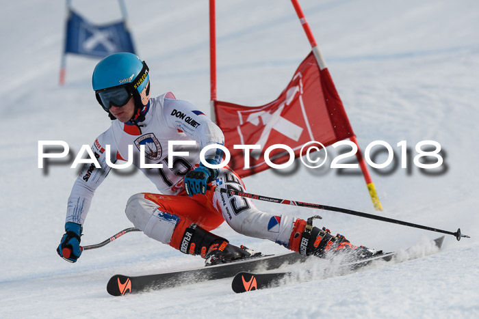 Int. FIS Rennen Herren, RS, Maria Alm 11.01.2018