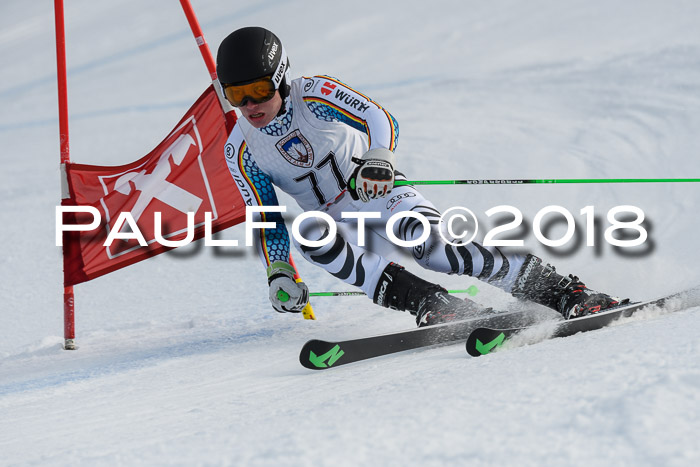 Int. FIS Rennen Herren, RS, Maria Alm 11.01.2018