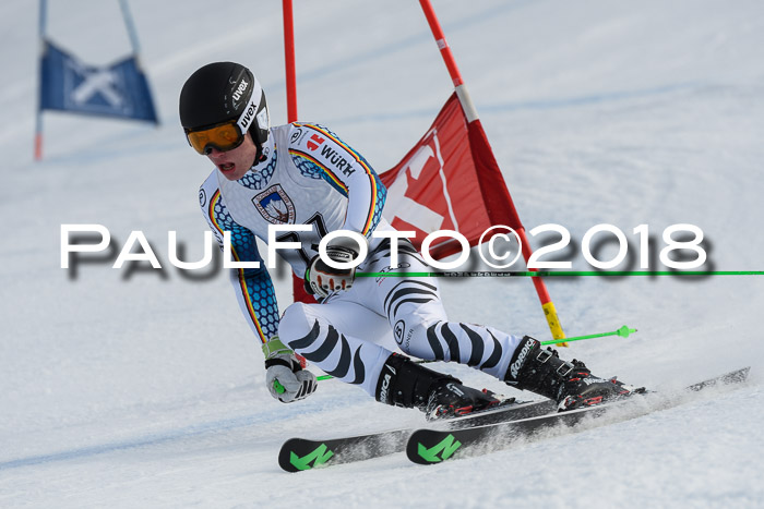 Int. FIS Rennen Herren, RS, Maria Alm 11.01.2018