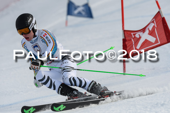 Int. FIS Rennen Herren, RS, Maria Alm 11.01.2018