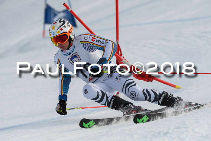 Int. FIS Rennen Herren, RS, Maria Alm 11.01.2018
