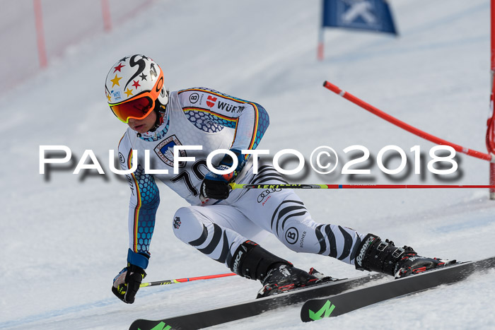 Int. FIS Rennen Herren, RS, Maria Alm 11.01.2018