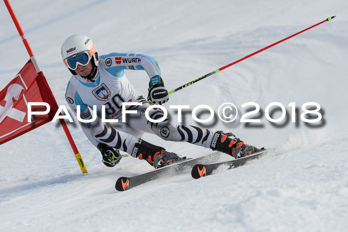 Int. FIS Rennen Herren, RS, Maria Alm 11.01.2018