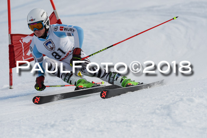 Int. FIS Rennen Herren, RS, Maria Alm 11.01.2018