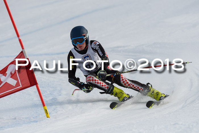 Int. FIS Rennen Herren, RS, Maria Alm 11.01.2018