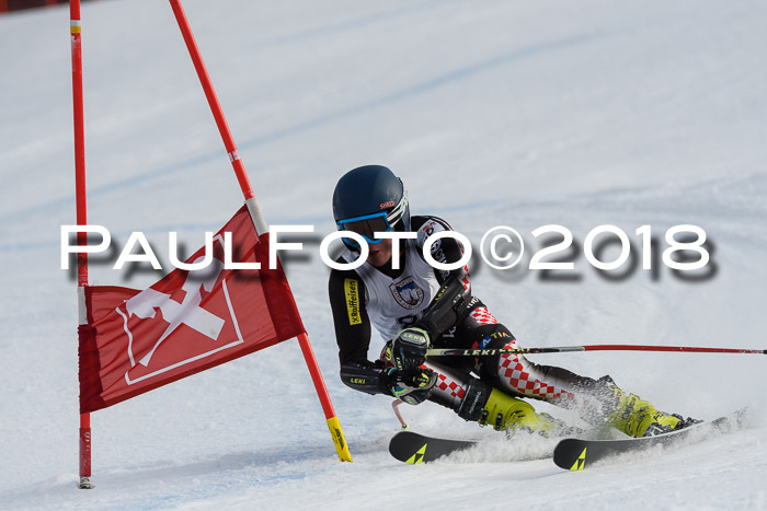 Int. FIS Rennen Herren, RS, Maria Alm 11.01.2018