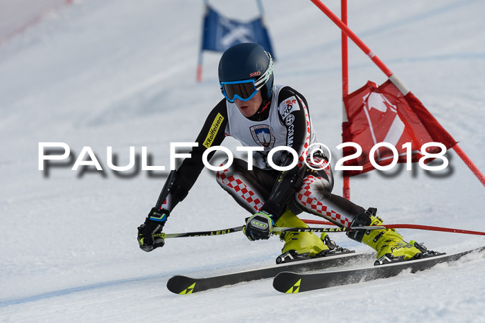 Int. FIS Rennen Herren, RS, Maria Alm 11.01.2018