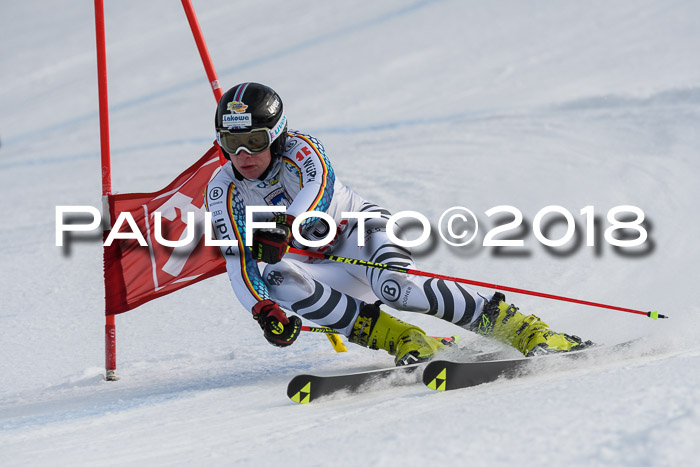Int. FIS Rennen Herren, RS, Maria Alm 11.01.2018