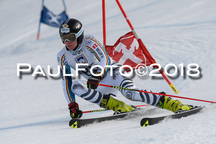 Int. FIS Rennen Herren, RS, Maria Alm 11.01.2018