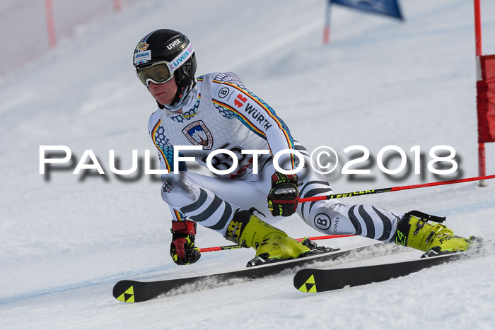 Int. FIS Rennen Herren, RS, Maria Alm 11.01.2018