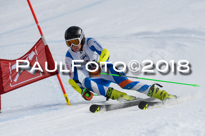 Int. FIS Rennen Herren, RS, Maria Alm 11.01.2018