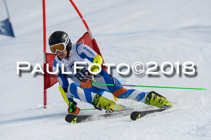 Int. FIS Rennen Herren, RS, Maria Alm 11.01.2018