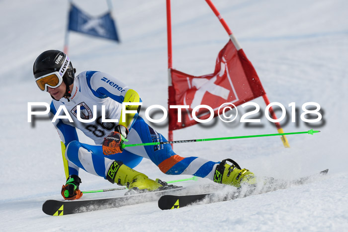Int. FIS Rennen Herren, RS, Maria Alm 11.01.2018