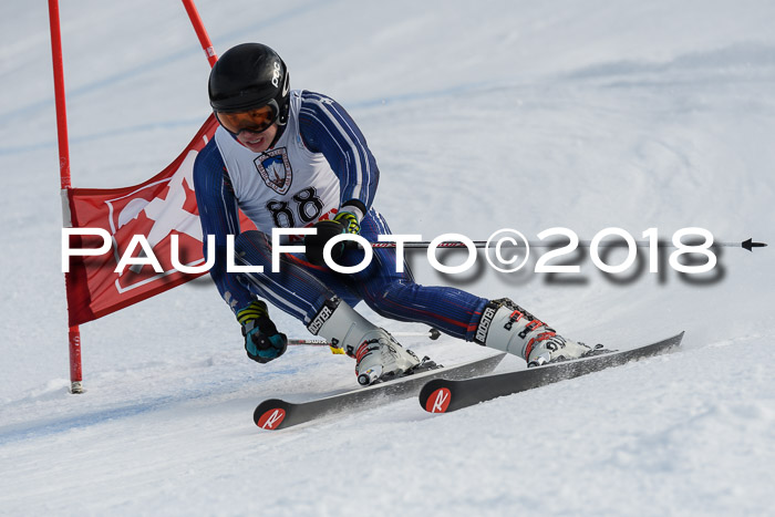 Int. FIS Rennen Herren, RS, Maria Alm 11.01.2018