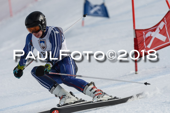 Int. FIS Rennen Herren, RS, Maria Alm 11.01.2018