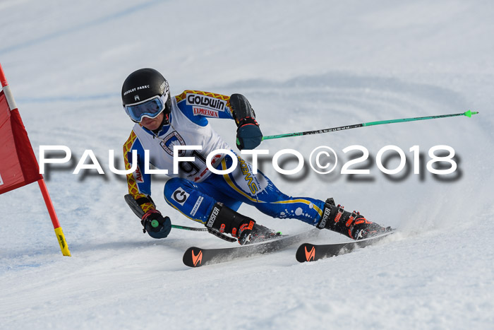 Int. FIS Rennen Herren, RS, Maria Alm 11.01.2018