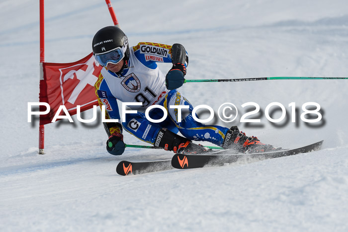 Int. FIS Rennen Herren, RS, Maria Alm 11.01.2018