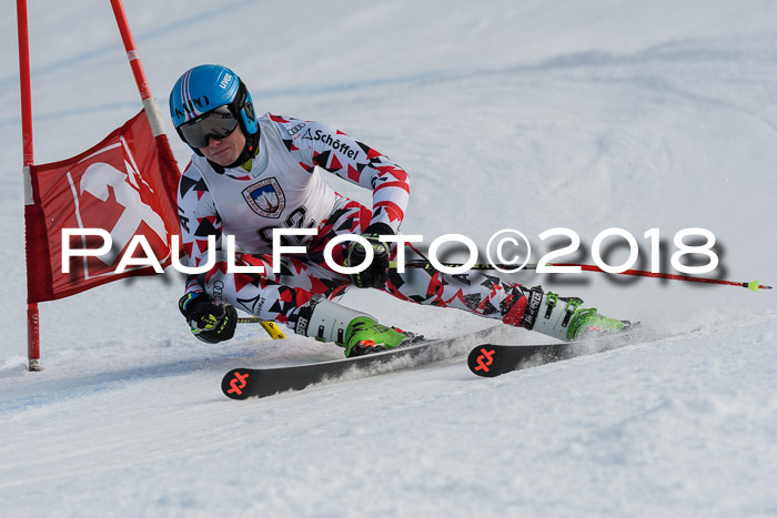 Int. FIS Rennen Herren, RS, Maria Alm 11.01.2018