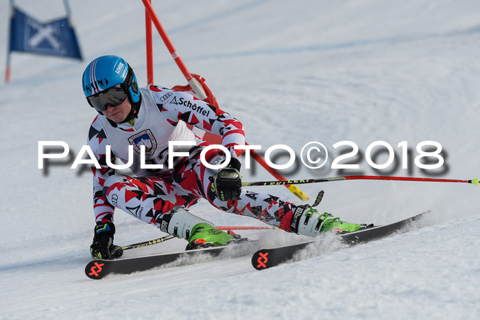 Int. FIS Rennen Herren, RS, Maria Alm 11.01.2018