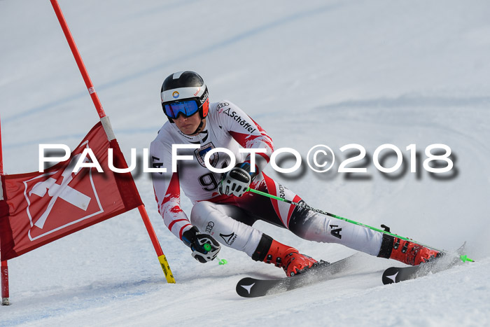 Int. FIS Rennen Herren, RS, Maria Alm 11.01.2018