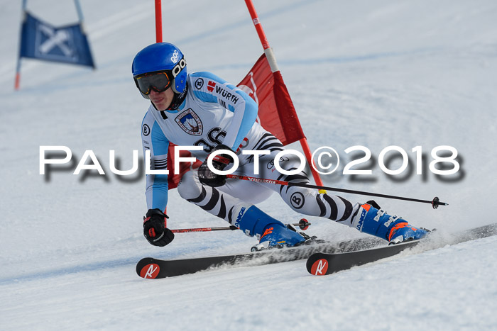 Int. FIS Rennen Herren, RS, Maria Alm 11.01.2018