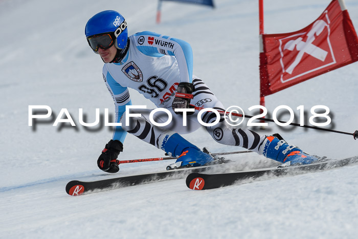 Int. FIS Rennen Herren, RS, Maria Alm 11.01.2018