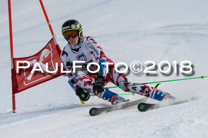 Int. FIS Rennen Herren, RS, Maria Alm 11.01.2018