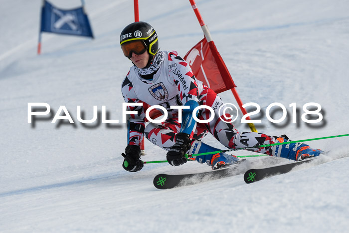 Int. FIS Rennen Herren, RS, Maria Alm 11.01.2018