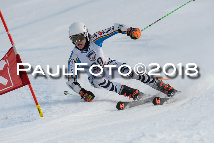 Int. FIS Rennen Herren, RS, Maria Alm 11.01.2018